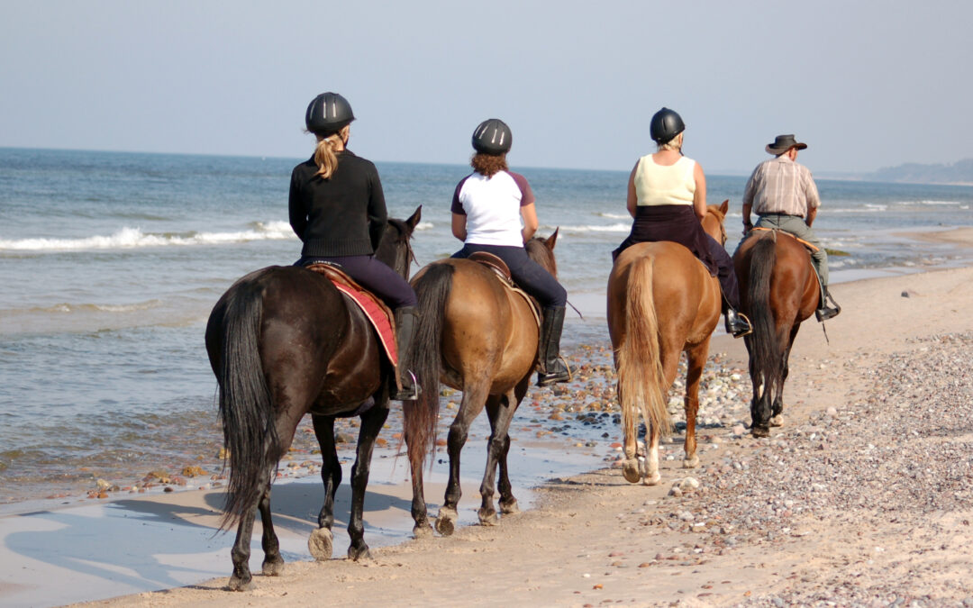 Reducing the carbon footprint in the Tourism Industry